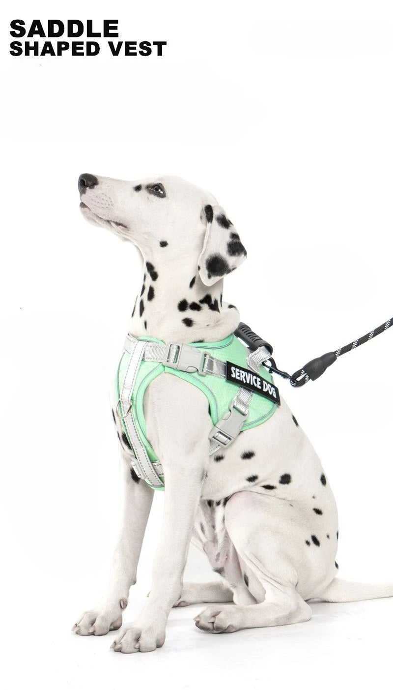 No Pull Dog Harness with Front Clip and Handle