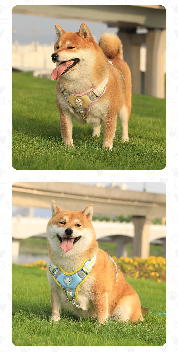 Reflective Breathable Dog Harness Vest