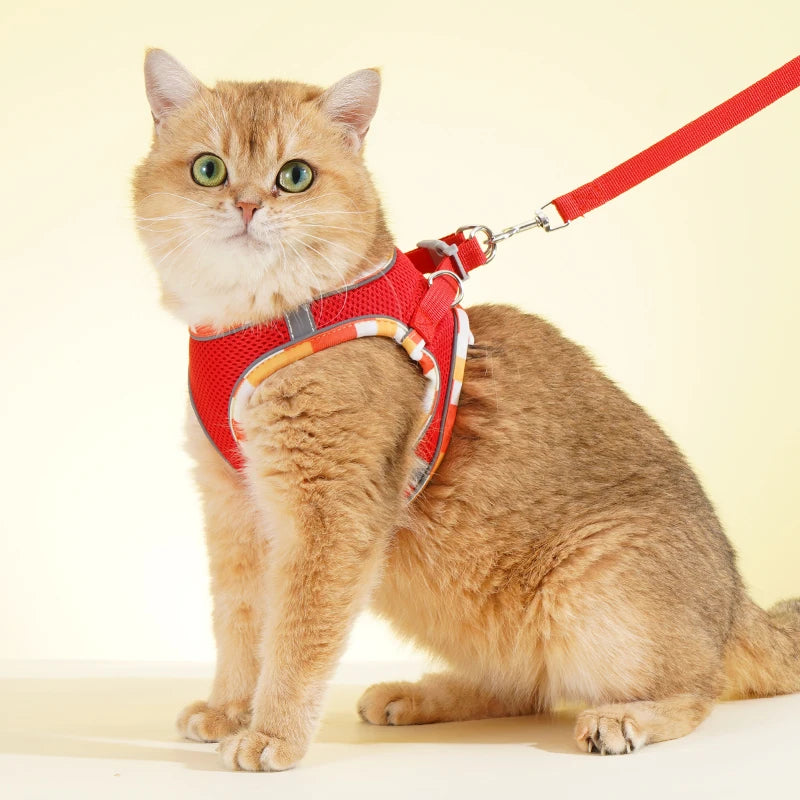 No-Pull Step-In Dog Harness & Leash Set for Small & Medium Dogs