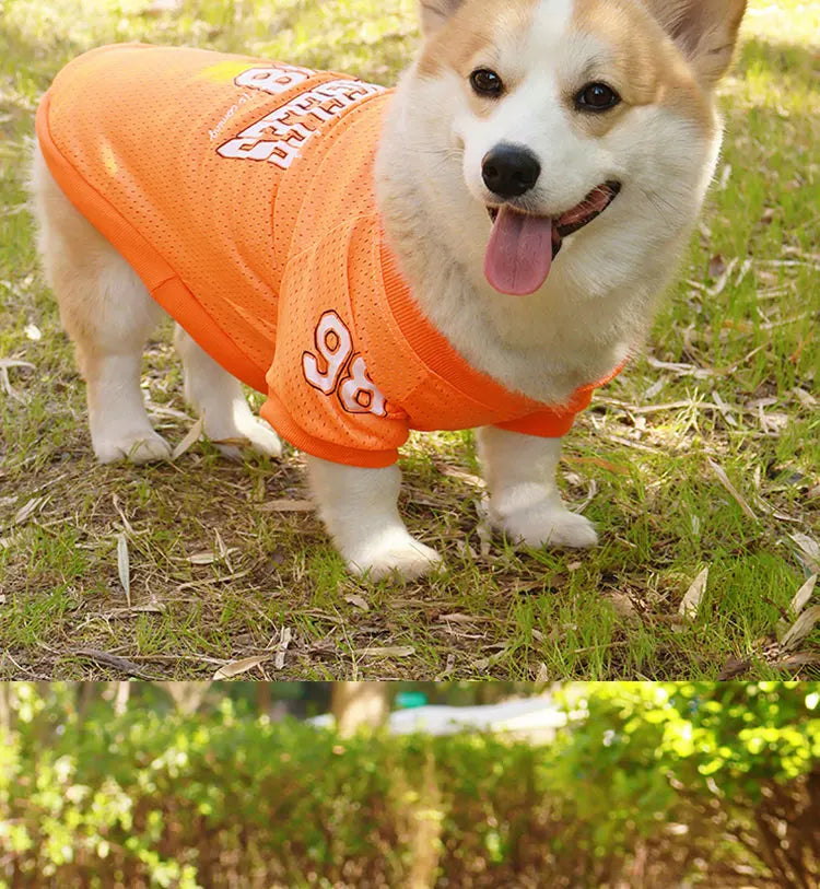 LA Style Dog Cooling Vest | Summer Breathable Shirt for Small to Large Dogs