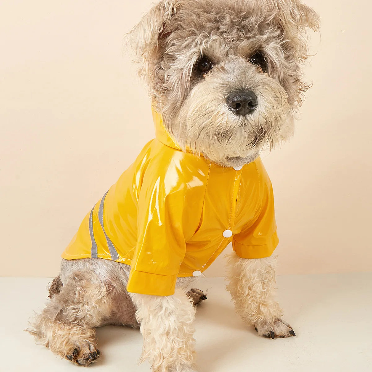Imperméable réfléchissant pour chien | Cape Poncho coupe-vent pour petits chiens et chats