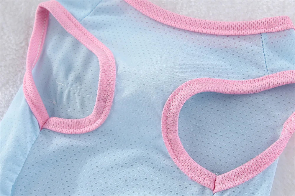 Breathable Mesh Cooling Vest with D-Ring for Small Dogs