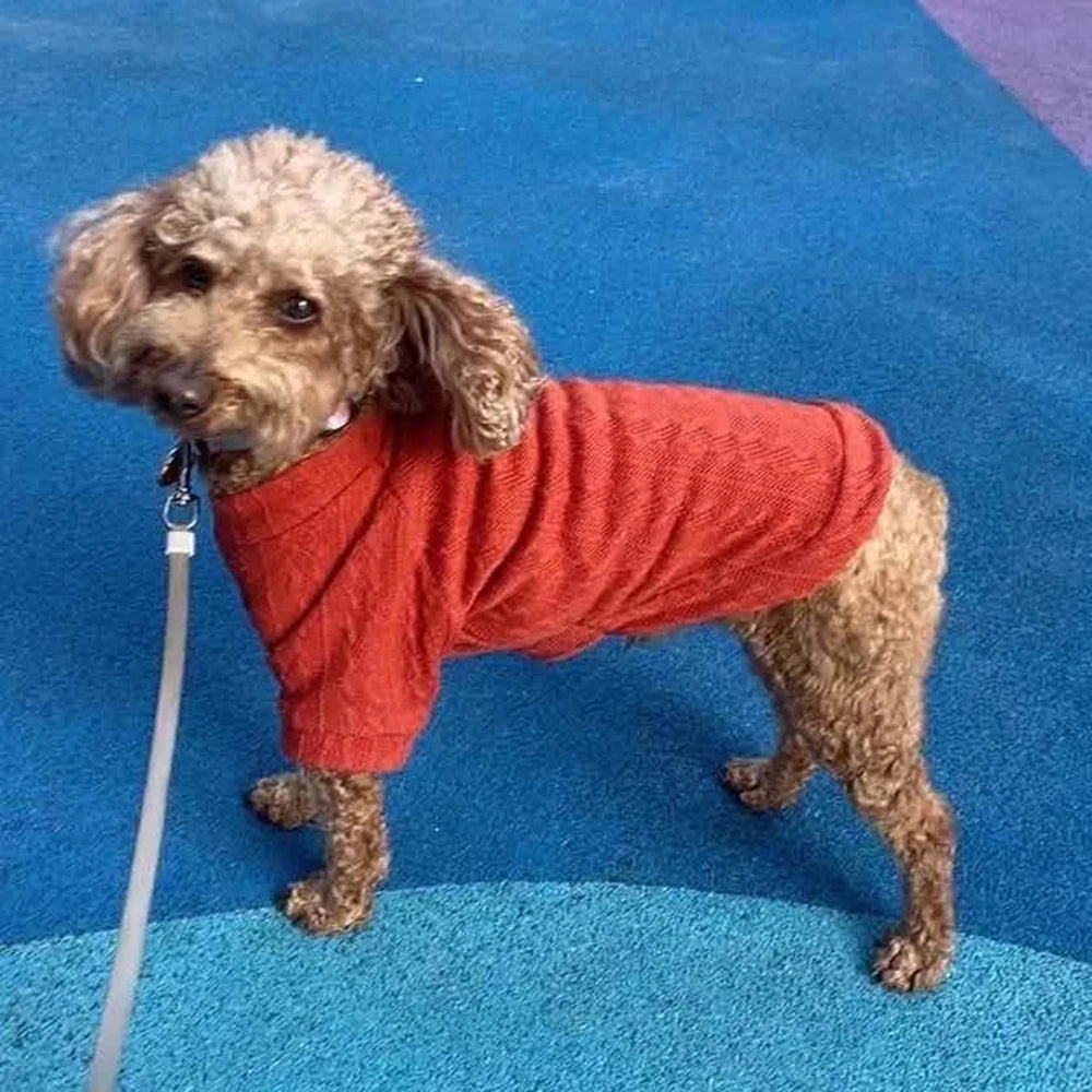 Long-Sleeve Knitted Pullover Sweater for Cats & Small Dogs