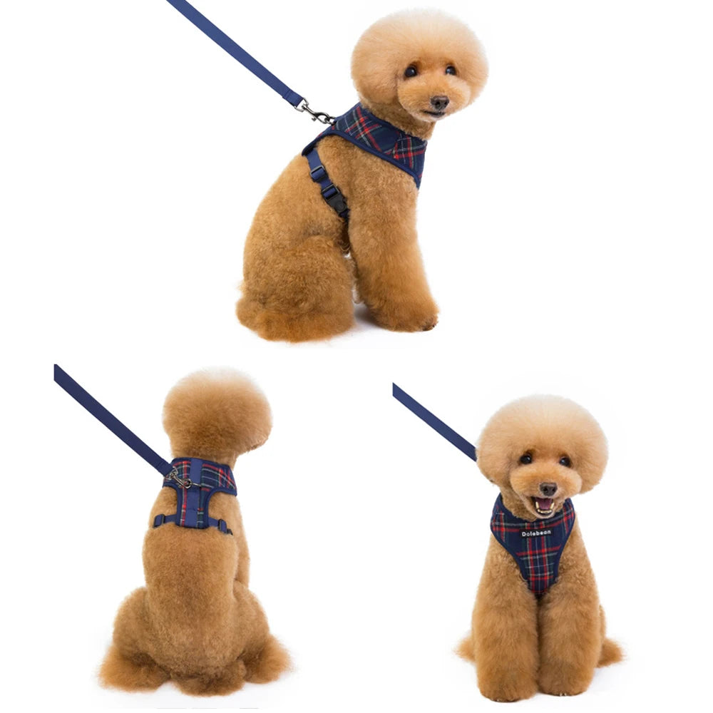 Adjustable Plaid Dog Harness & Leash Set