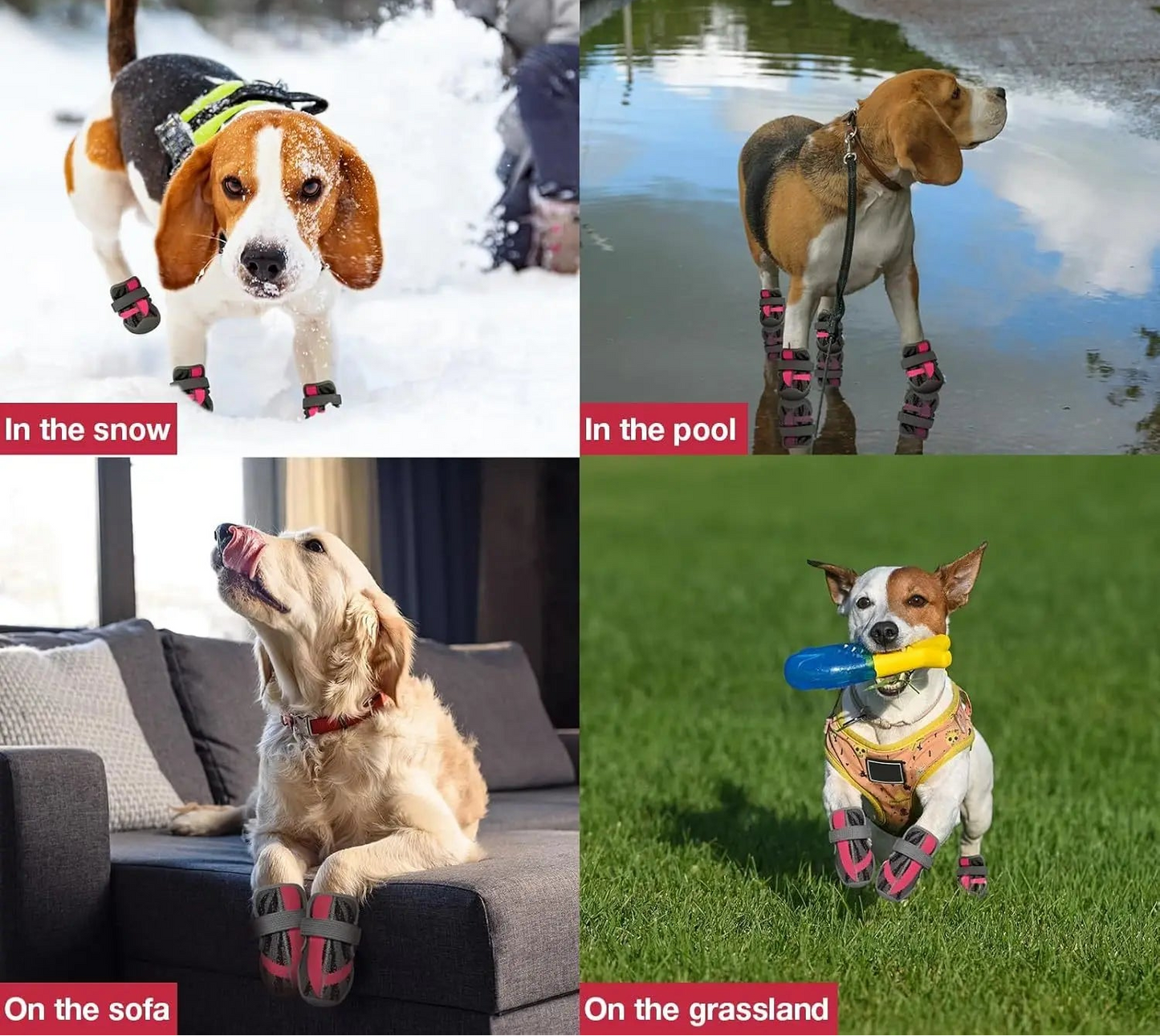 Chaussures respirantes pour chien - Chaussures en maille antidérapantes pour la marche, la course et la randonnée