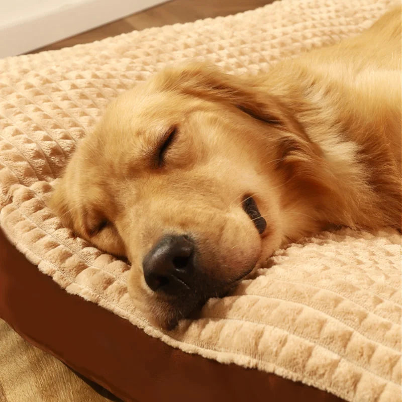 Fleece Dog Bed Mat with Detachable Cushion – Warm Washable Sleeping Pad for Small, Medium & Large Dogs