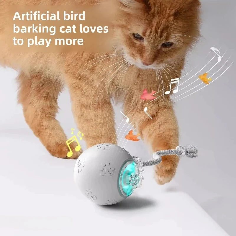 Smart Electric Rolling Cat Toy with Feather Tail