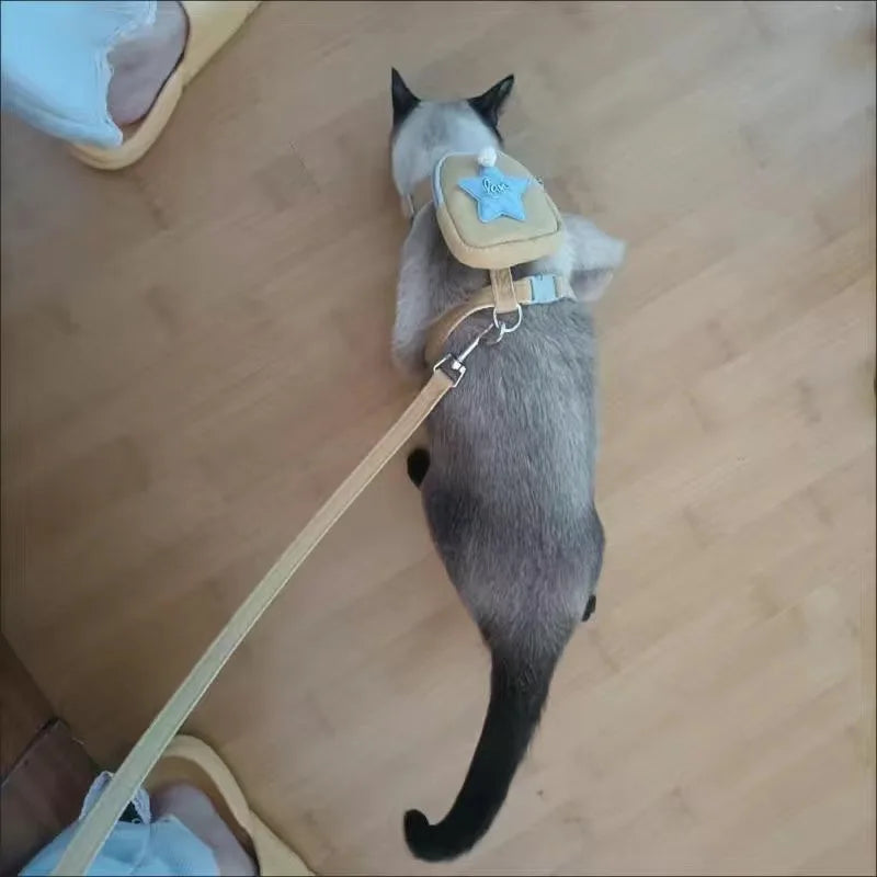 Cartoon Print Cat & Dog Harness with Leash Set and Snack Bag