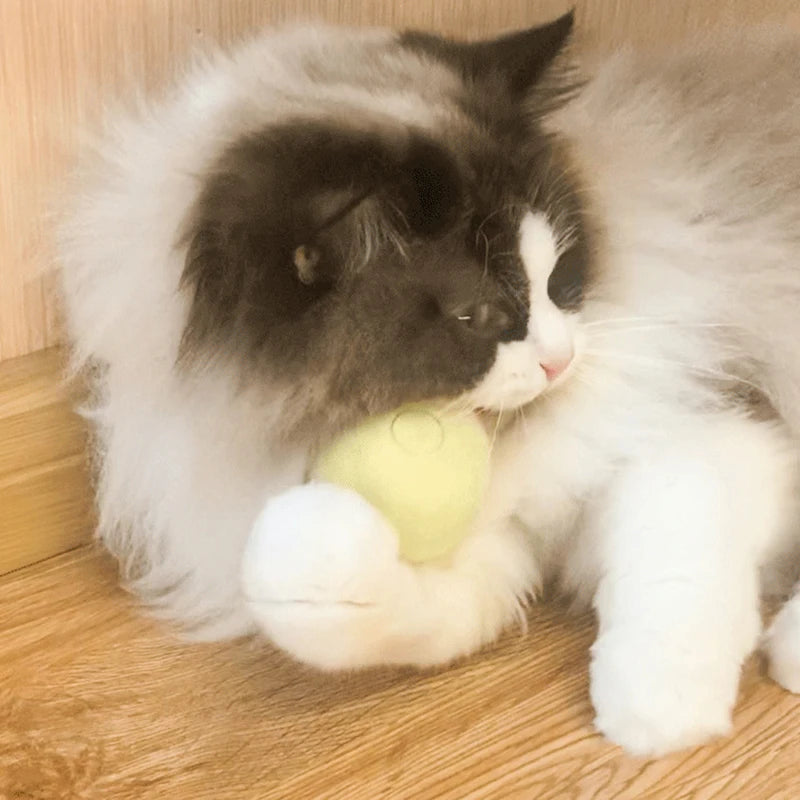 Sound Ball Cat Toy — Animal Noise Squeaky Ball for Cats & Kittens