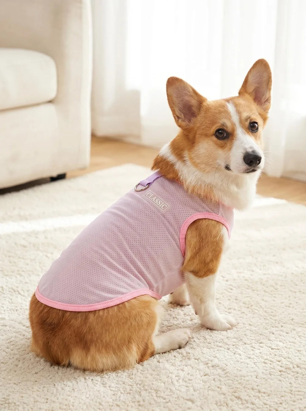Breathable Mesh Cooling Vest with D-Ring for Small Dogs