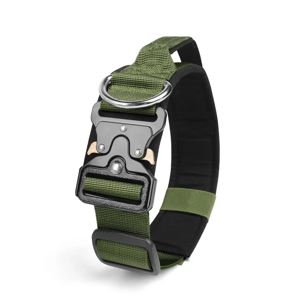 Ensemble complet collier et harnais pour chien avec laisse