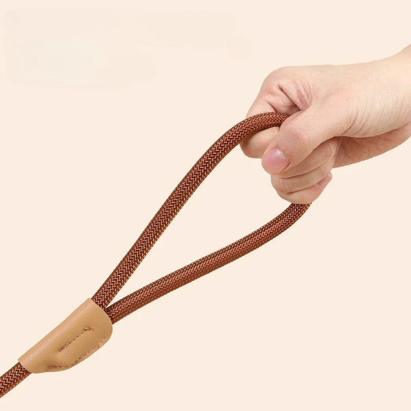 Adjustable Loop Collar Training Leash for Dogs