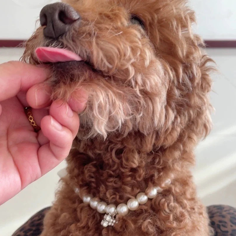Luxury Pearl Pendant Puppy Dog Necklace Collar for Small Dogs Cats Chihuahua Pomeranian Teddy Bling Rhinestones Pet Accessories