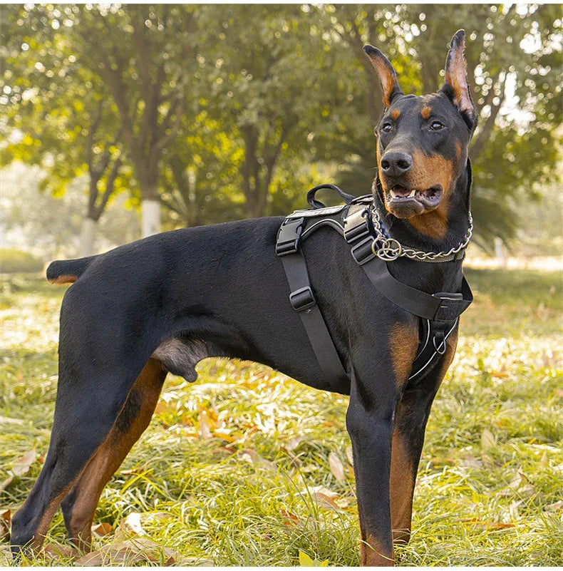 Harnais tactique anti-traction pour chien avec bandes réfléchissantes de nuit