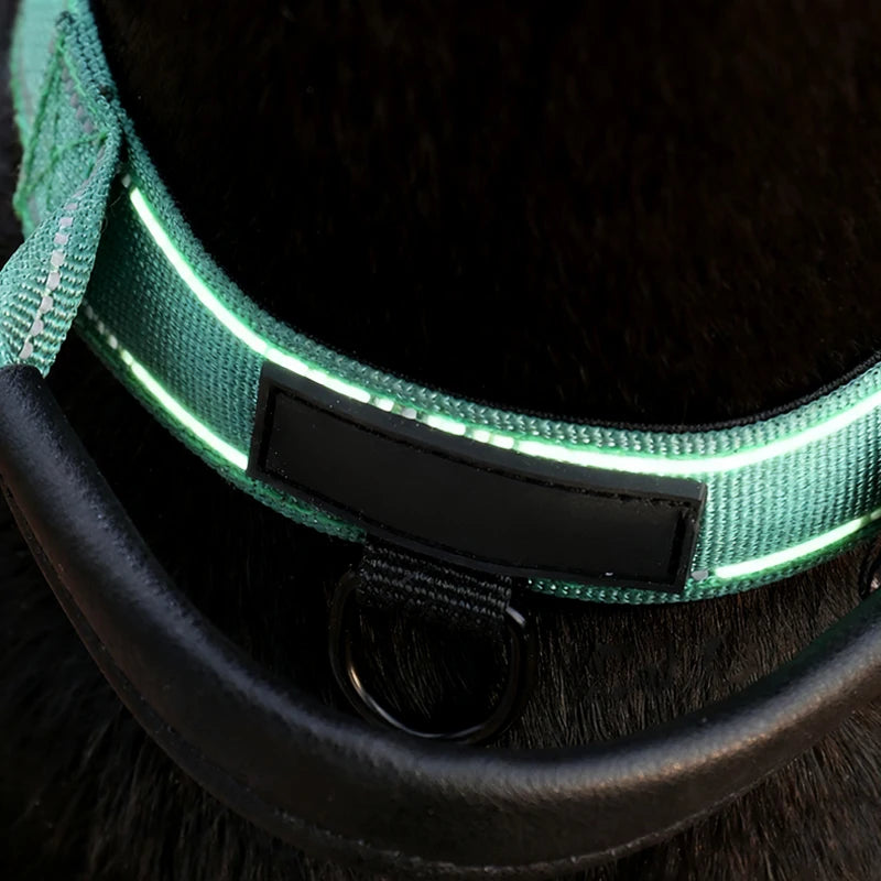 Tactical Dog Collar with Leather-Wrapped Leash Handle