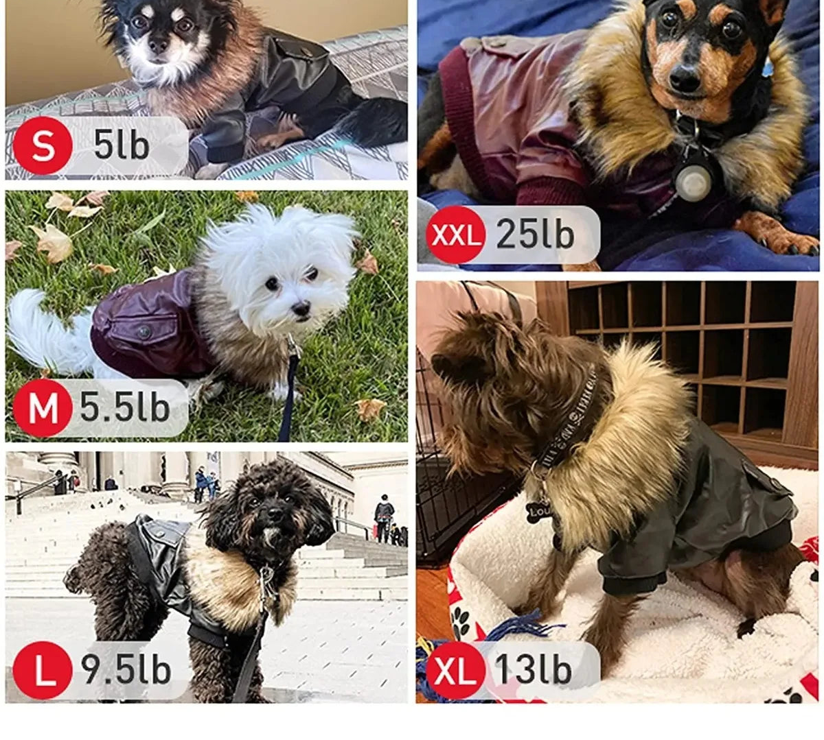 Waterproof Dog Winter Coat - Warm Jacket for Small to Medium Dogs