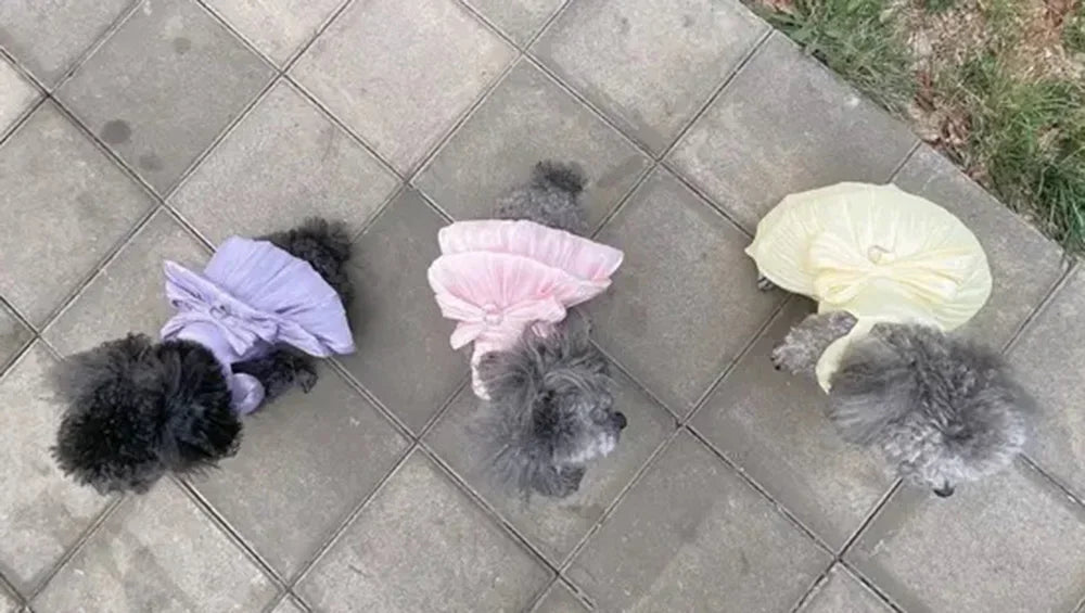Bowknot Princess Dress for Small Dogs & Cats