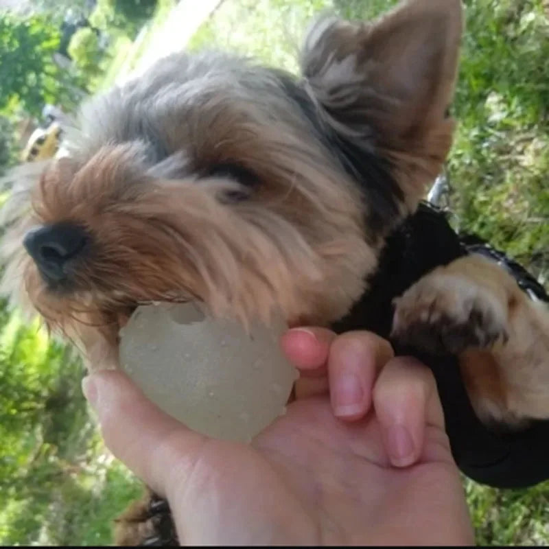 Reflective Bouncing Ball Dog Toy