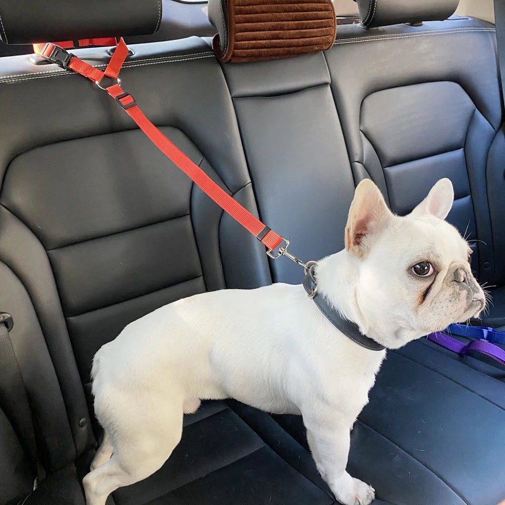Harnais réglable et ceinture de sécurité pour chien