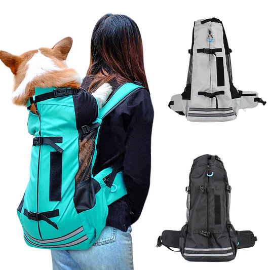 Waterproof Dog Travel Backpack with Padded Straps | Medium Dogs up to 13kg | Corgi, Shiba Inu
