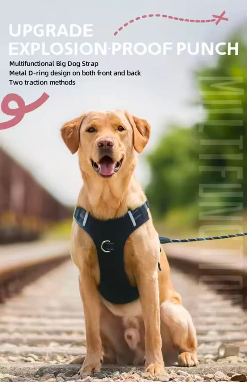 Reflective No-Pull Dog Vest Harness with Name Card