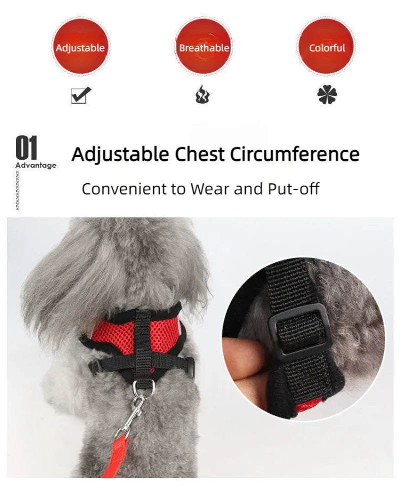 Harnais anti-évasion pour chat et chien avec laisse - Gilet en maille réglable pour la promenade