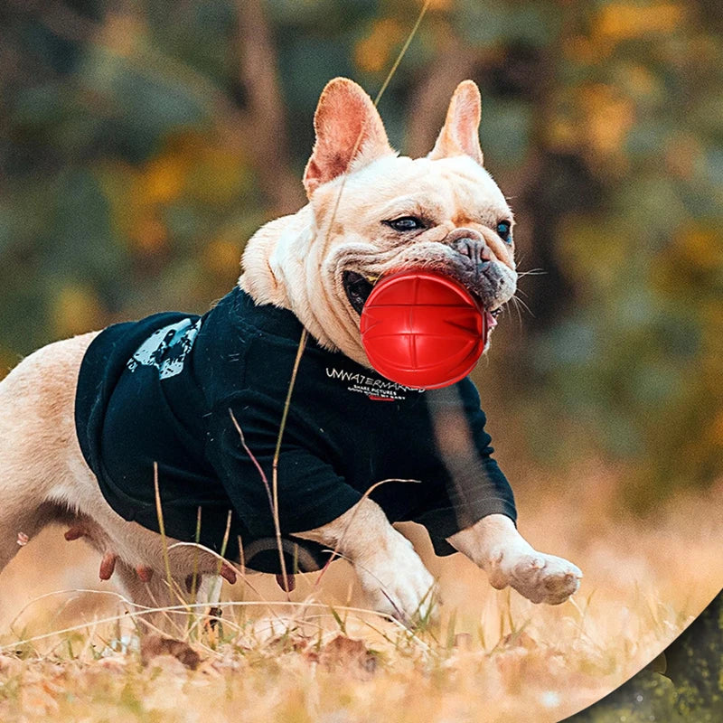 Bite-Resistant Chew Toys for Dogs