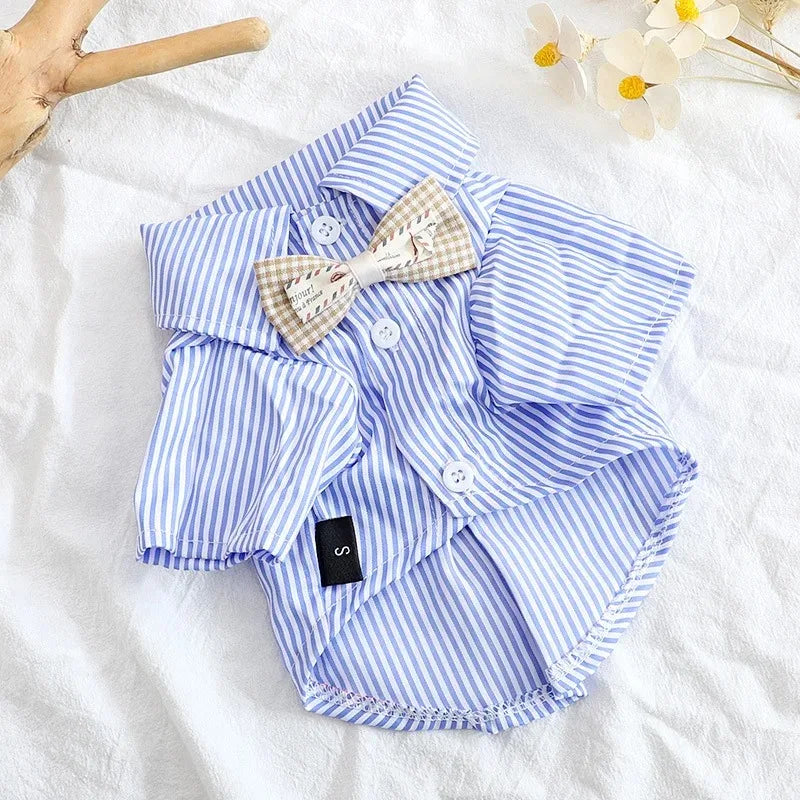 Vêtements d'été pour chiots - Chemise et chemisier pour chien, vêtements de printemps pour animaux de compagnie