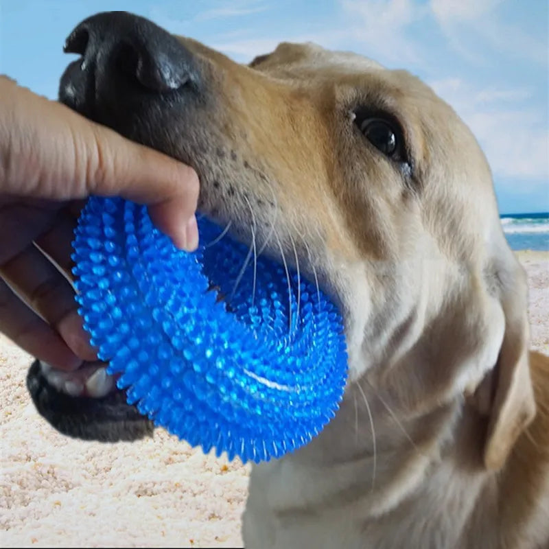 Squeaky Donut Chew Toy for Small & Medium Dogs