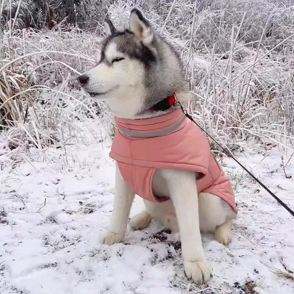 Waterproof High-Collar Down Jacket for Dogs