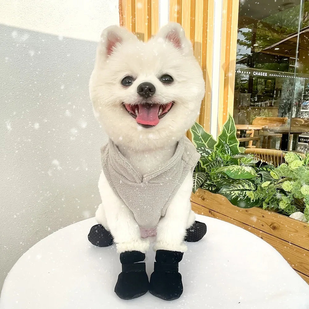 Bottes antidérapantes d'hiver pour chiens | Lot de 4 pour petits et moyens chiens et chats