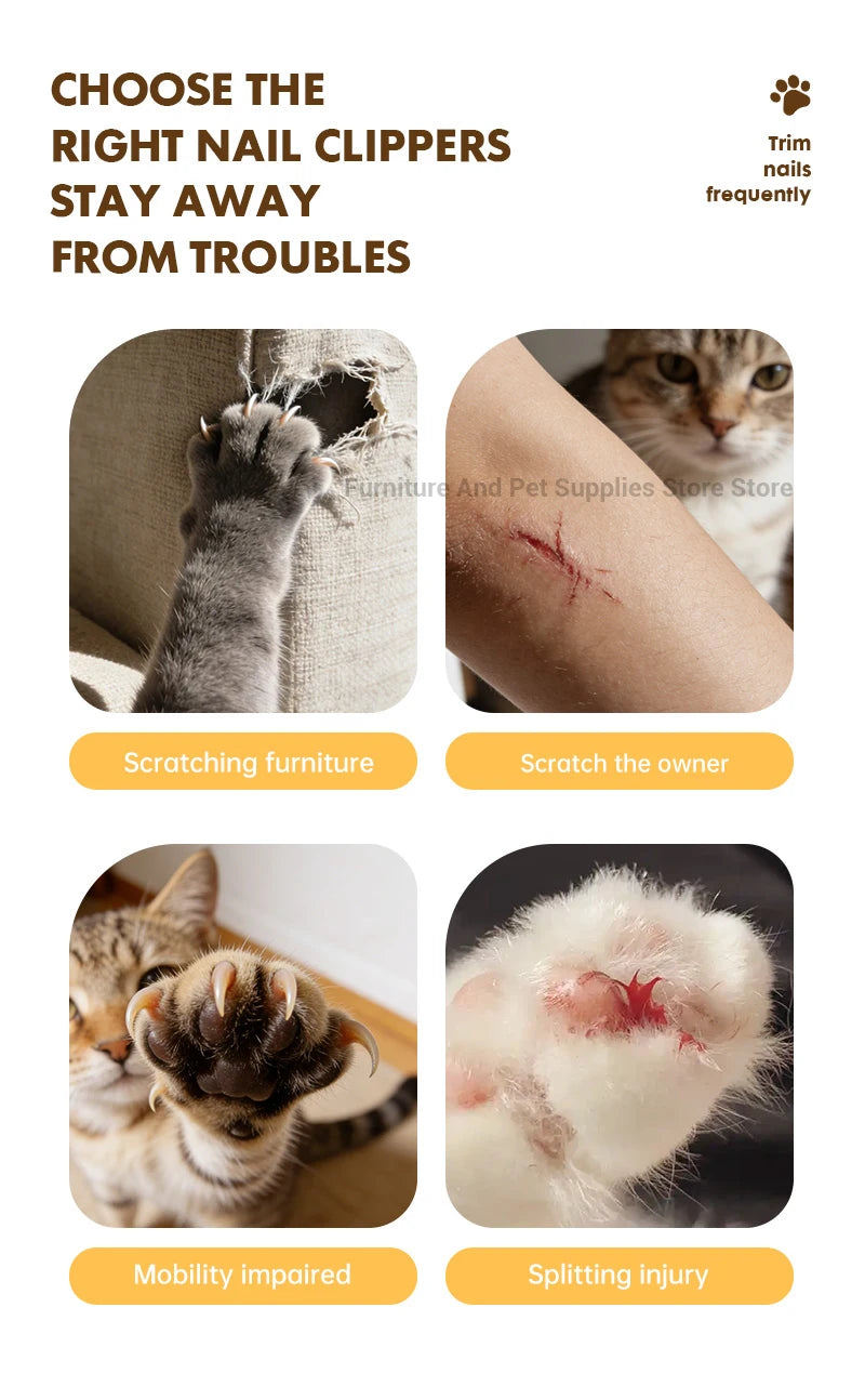 2-in-1 Electric Pet Nail Clipper & Grinder with LED