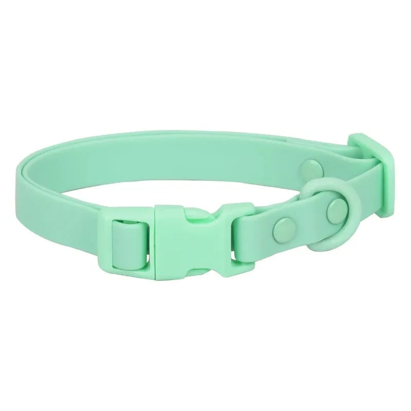Collier et Harnais en Silicone pour Chat - Accessoires Souples pour Chaton et Petits Animaux