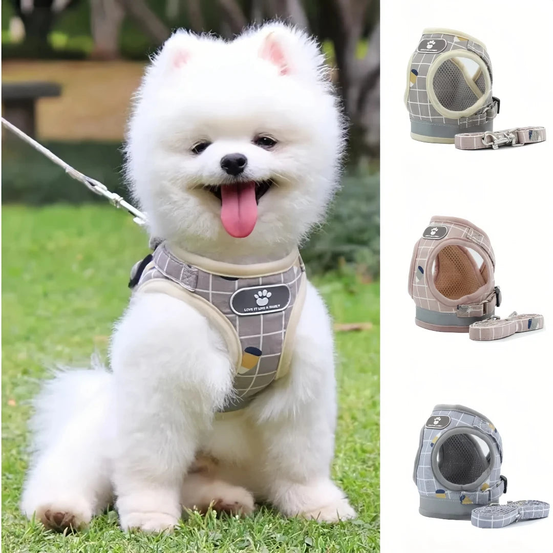 Adjustable Reflective Vest Harness & Leash Set for Small Dogs & Cats