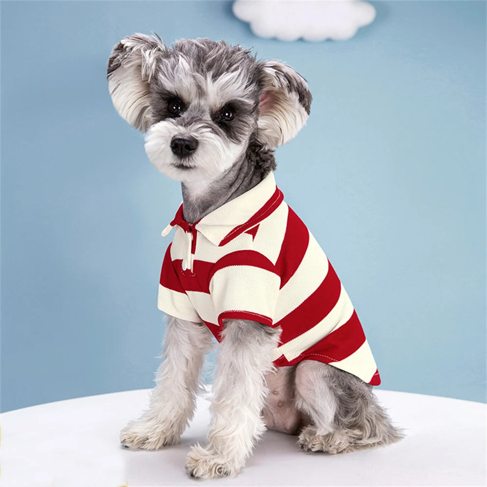 Striped Polo Shirt for Cats & Small Dogs