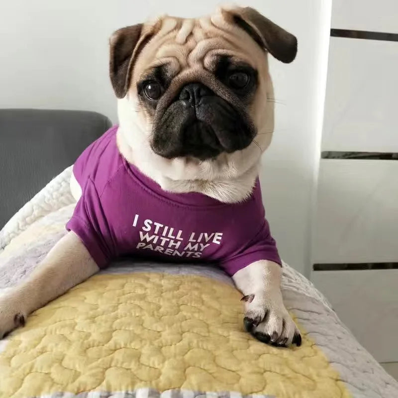 Spring Summer Pet Dog Clothes Round Neck T-shirt for Small Dogs French Bulldog Shiba Inu Puppy Pullovers Letter Print Vest