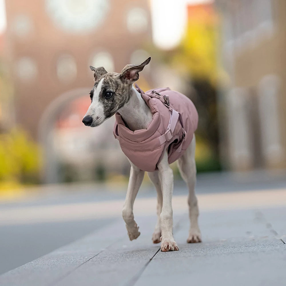 Autumn Winter Pet Clothes Outdoor Dog Jacket with Harness for Small Medium Dogs Thick Warm Pet Cotton-Padded Clothing