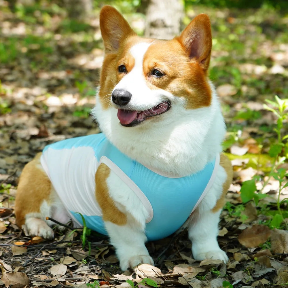 Ice Silk Cooling Vest with Sun Protection for Dogs & Cats