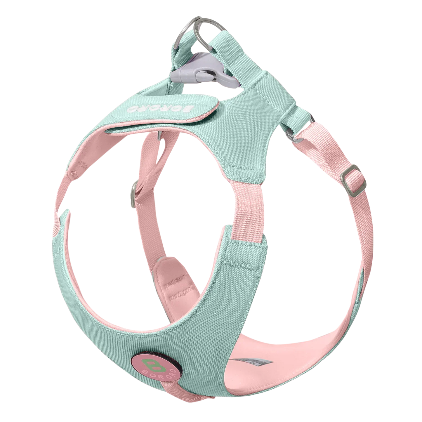 Ensemble Collier et Laisse pour Chien - Harnais de Poitrine pour Petits Chiens