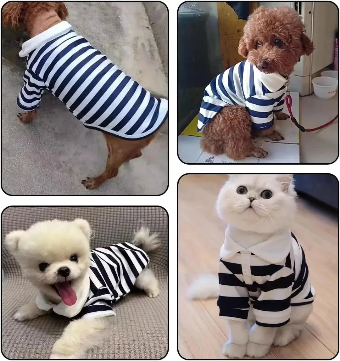 Chemise de luxe premium pour chien