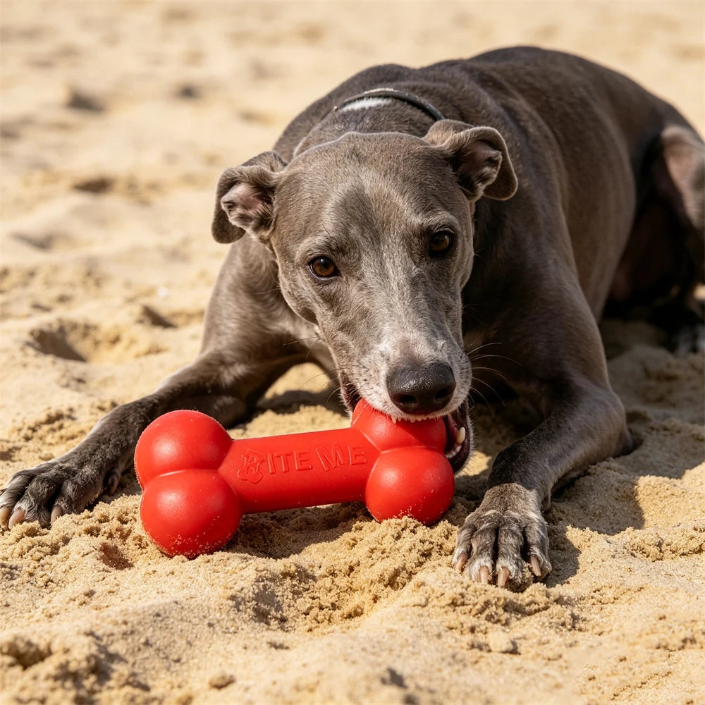 Indestructible TPR Dog Chew Toy for Aggressive Chewers