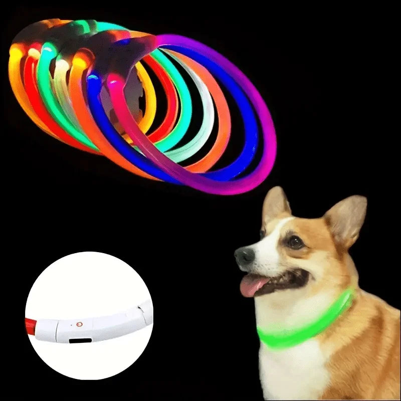 Collier lumineux LED pour chien - Collier de sécurité rechargeable par USB pour une visibilité nocturne