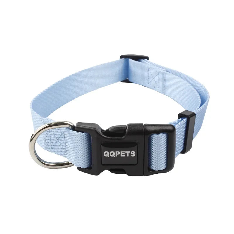 Ensemble laisse et collier réglables en nylon pour chiens - Pour petits et grands chiens