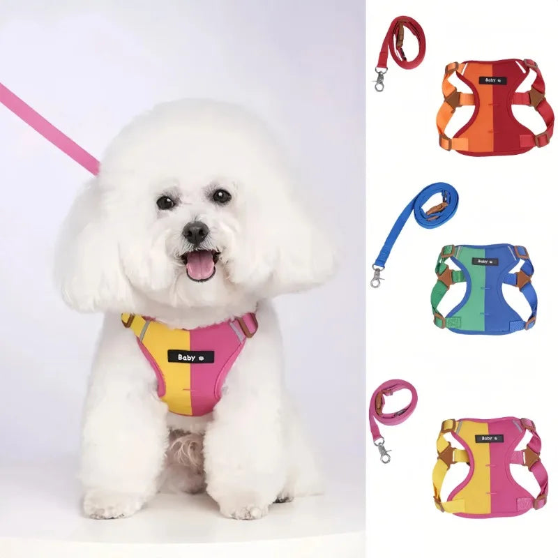 Ensemble Harnais et Laisse Réfléchissants Ajustables pour Chiens et Chats de Petite et Moyenne Taille