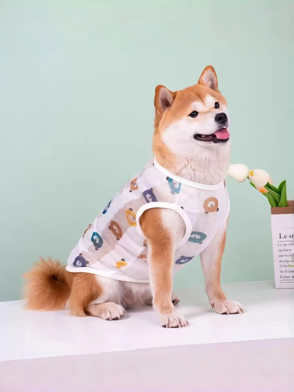 Breathable Mesh Cooling Vest for Dogs