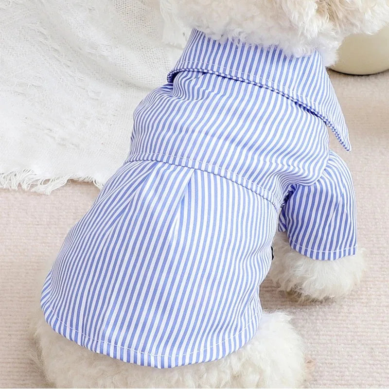 Vêtements d'été pour chiots - Chemise et chemisier pour chien, vêtements de printemps pour animaux de compagnie