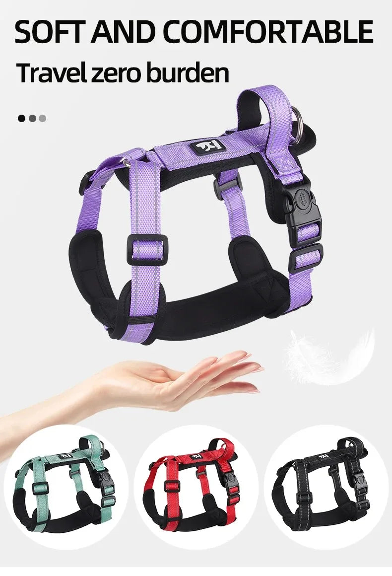 Ensemble Harnais et Collier Professionnel pour Dressage de Chien