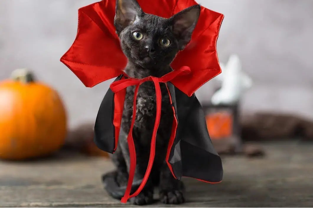 Cape de vampire pour chat – Costume d'Halloween réglable pour animaux de compagnie