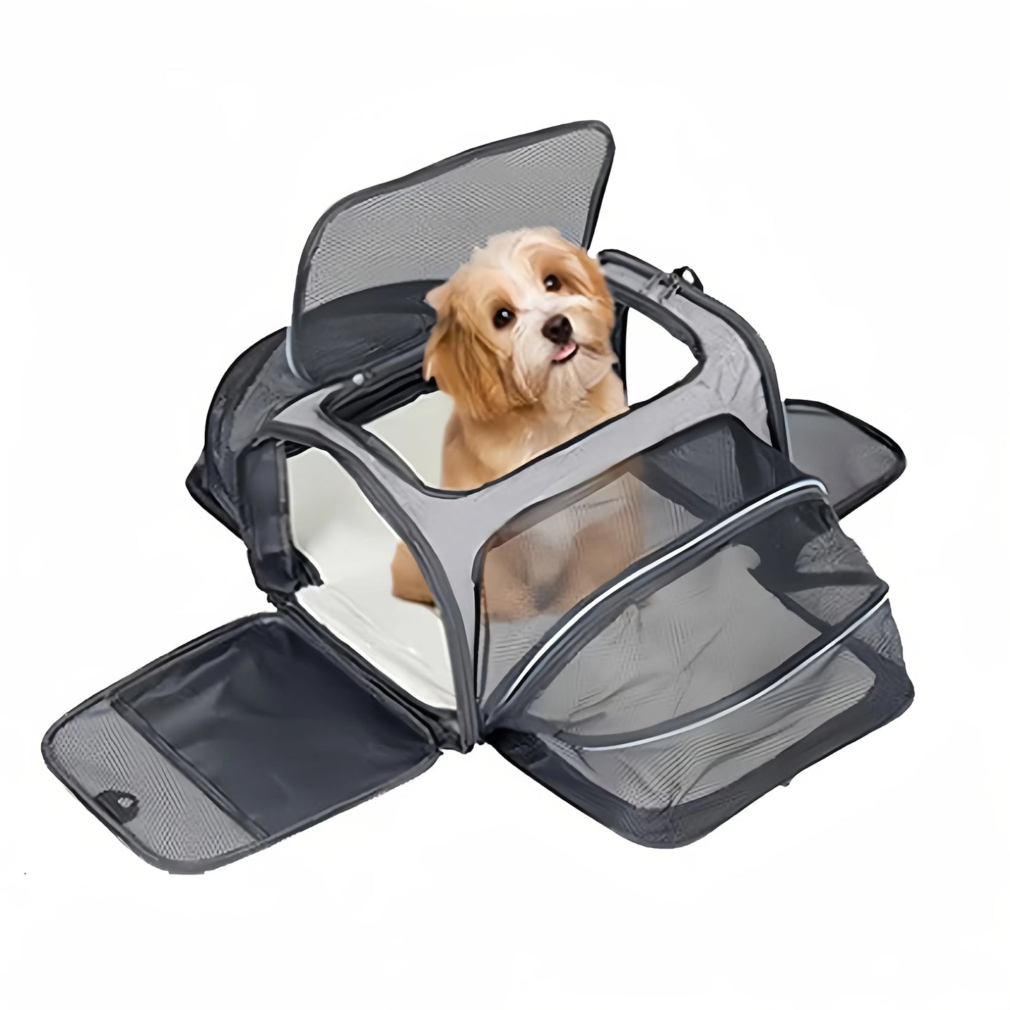 Foldable Expandable Pet Carrier Bag | Breathable Mesh Handheld Bag for Cats & Small Dogs