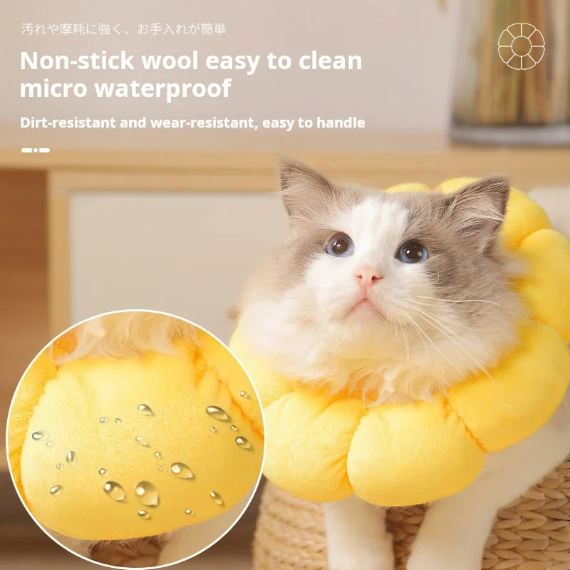 Collerette de protection tournesol – Cône élisabéthain en coton doux pour chats et chiens